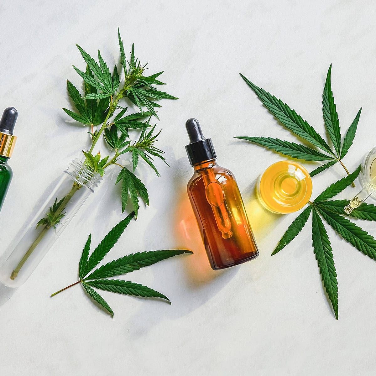 Jaka jest różnica między CBD z konopi a cannabis CBD