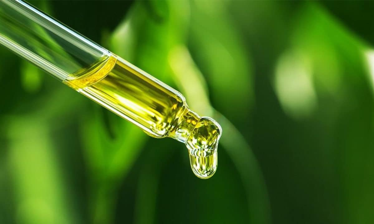 Przewodnik kupującego olej CBD