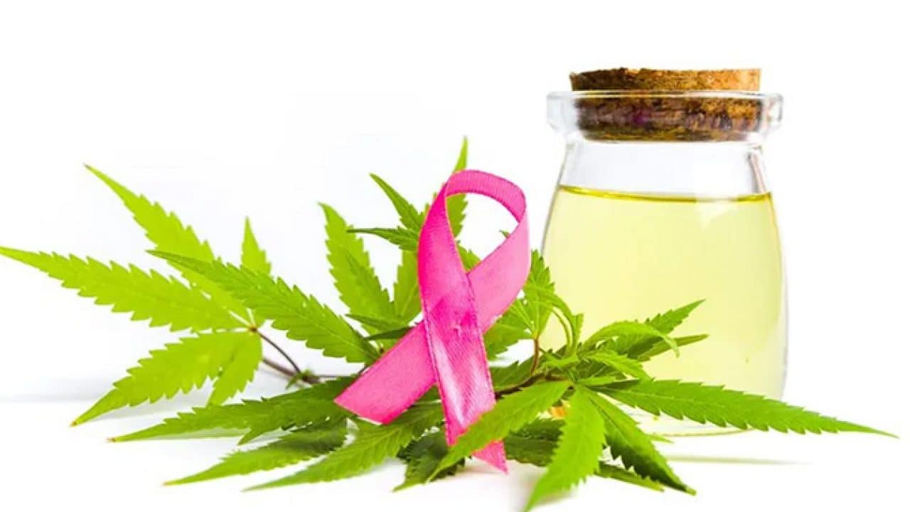 Cbd For Cancer Everything You Need To Know