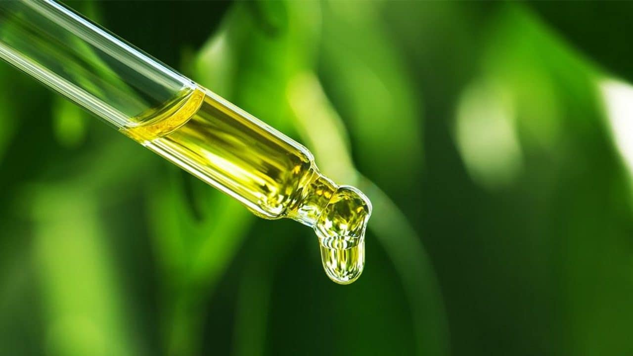 Przewodnik kupującego olej CBD