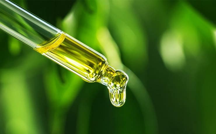 Przewodnik kupującego olej CBD