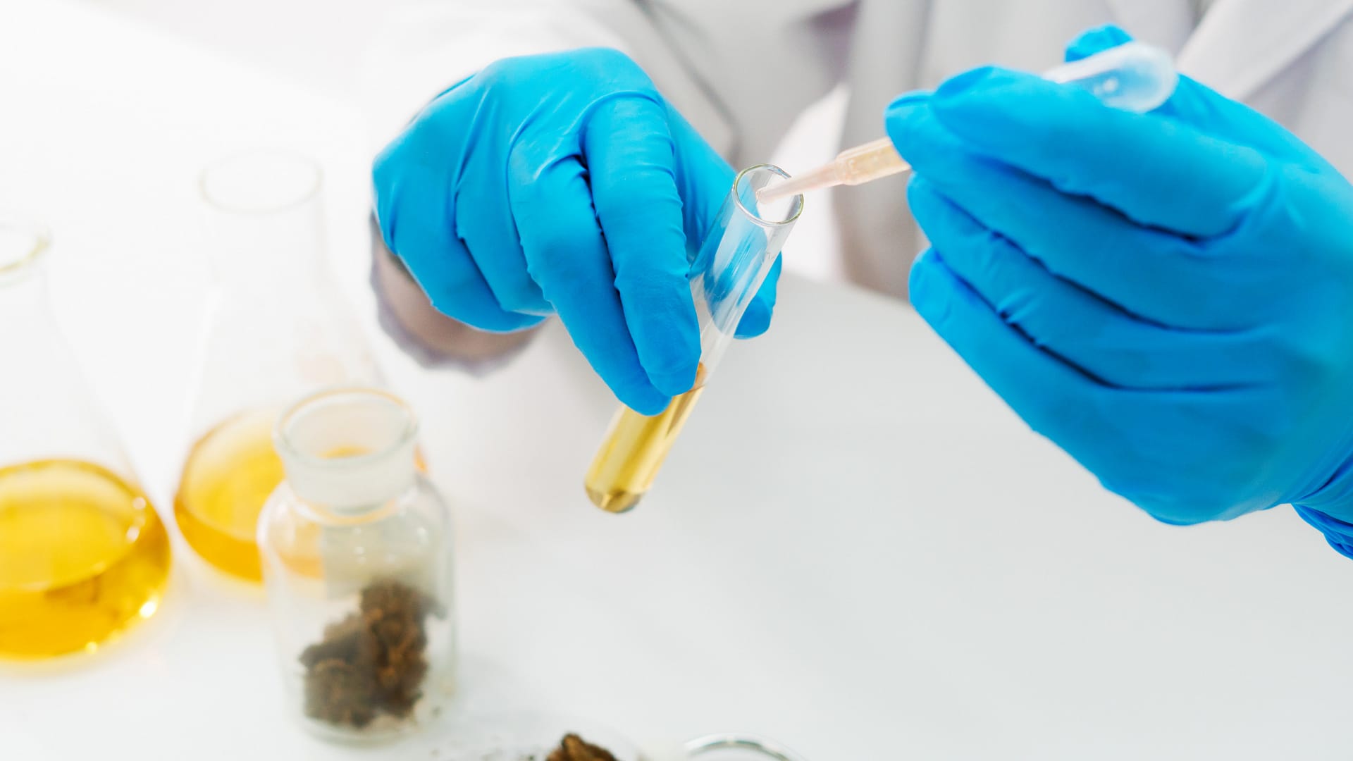 Jakie są jego funkcje