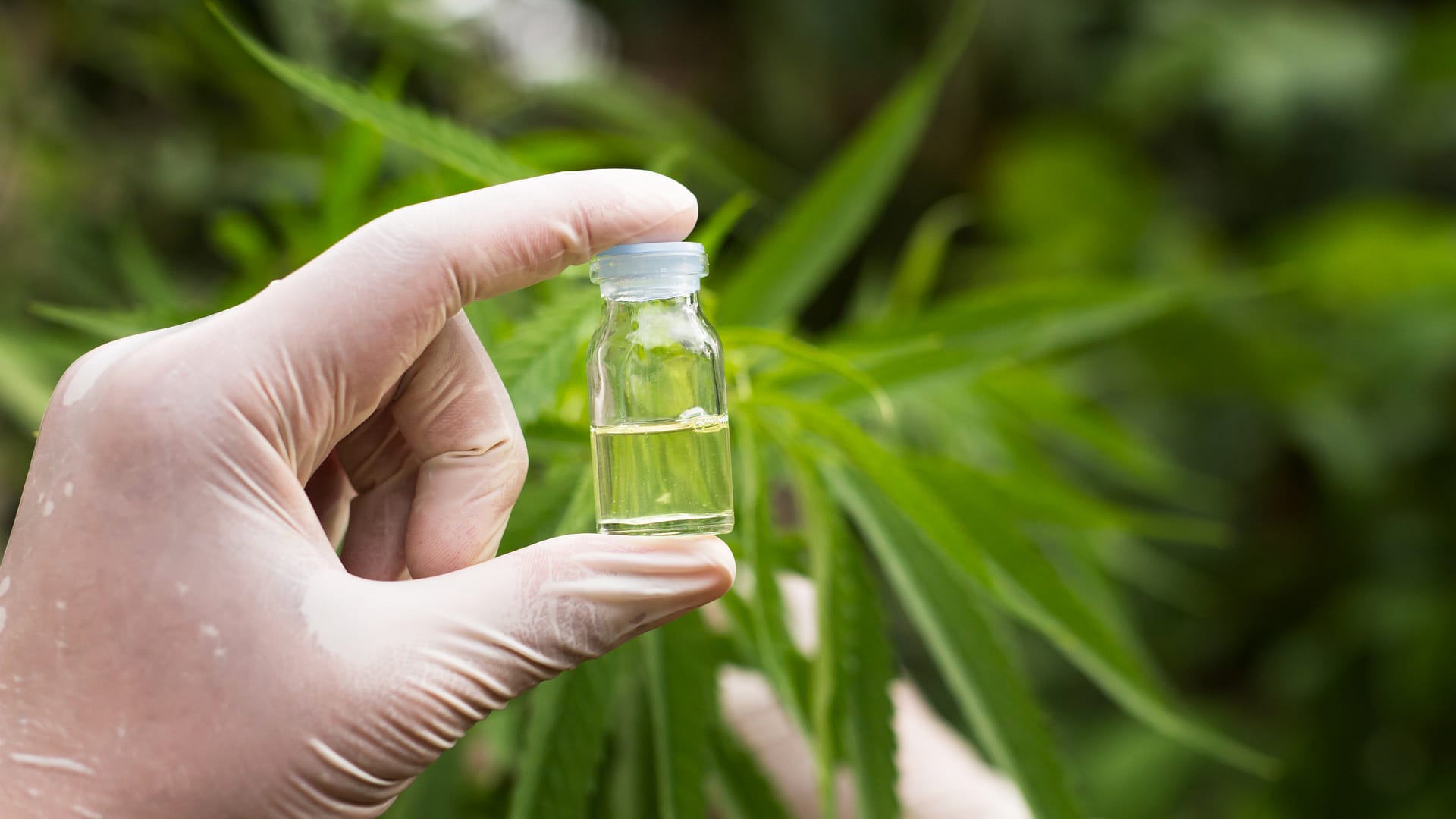 Czynniki wpływające na dawkowanie