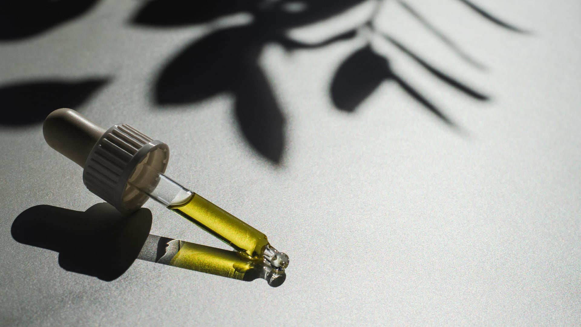 Przewodnik po sile działania