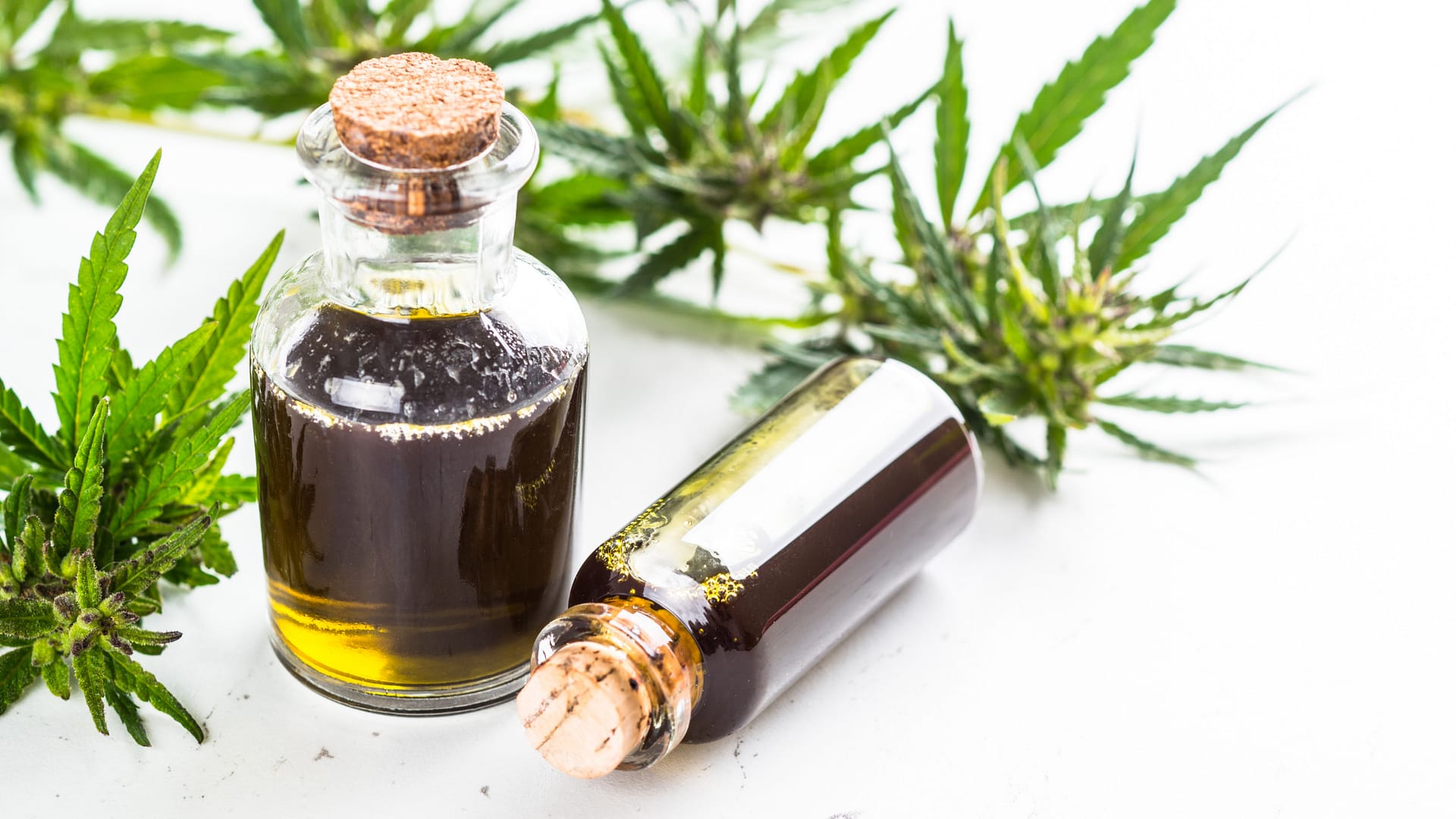 Ryzyko i ostrzeżenia