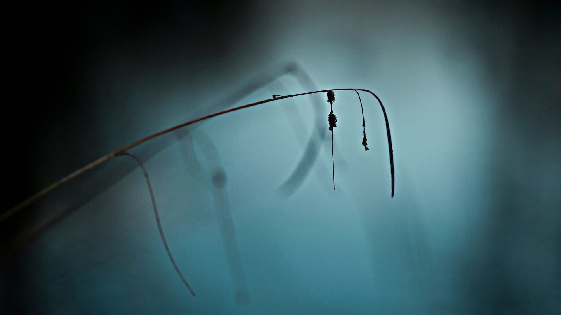 Patrzenie na śmierć