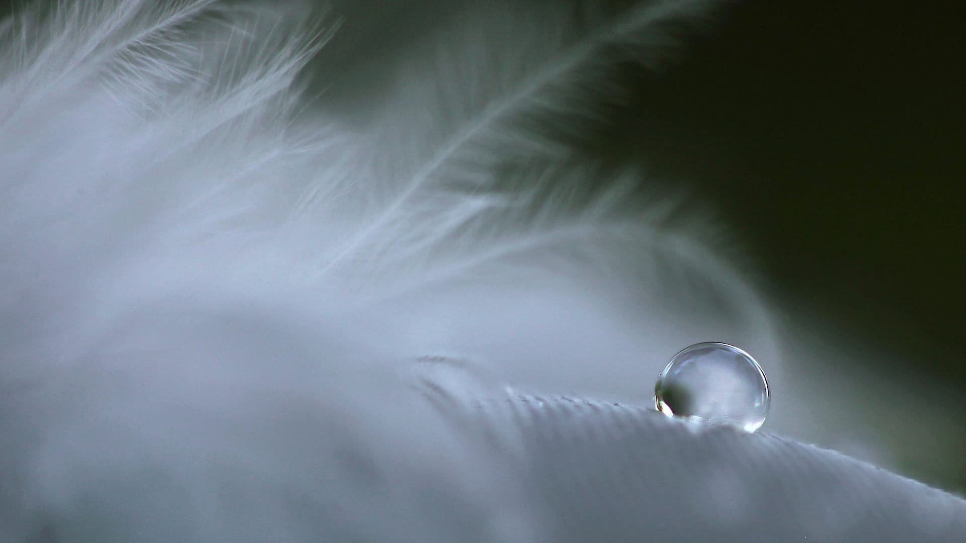 Depresja oporna na leczenie