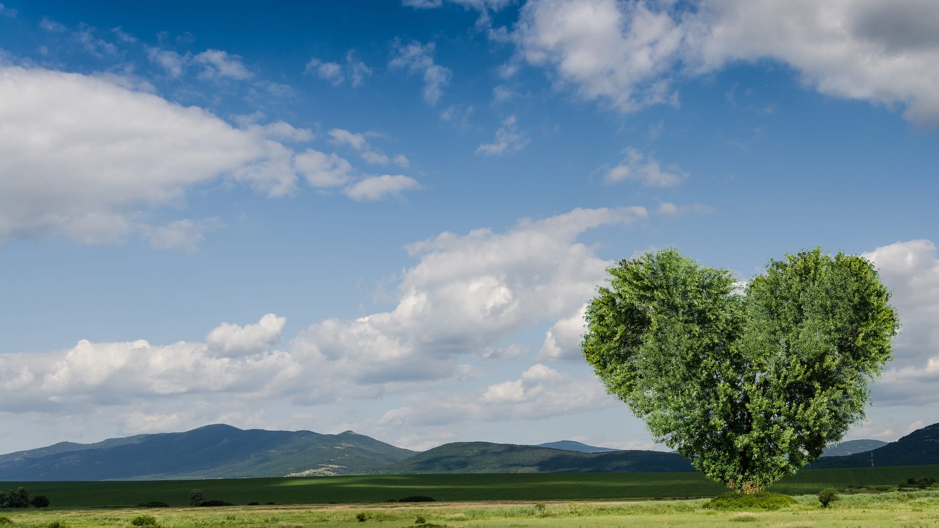 Jak leczyć depresję oddechową?